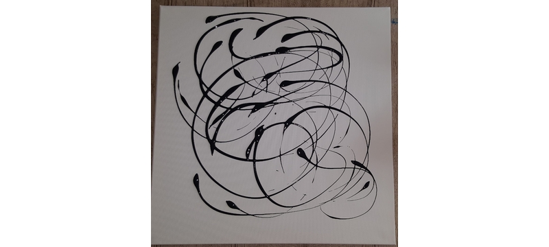 IMG_20230509_140903_189