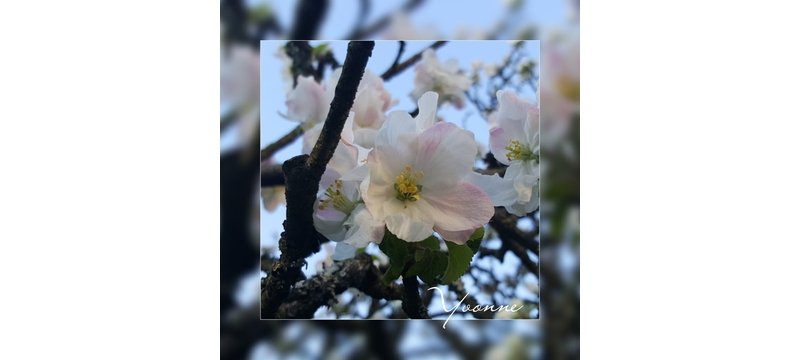 IMG_20230512_185233_400