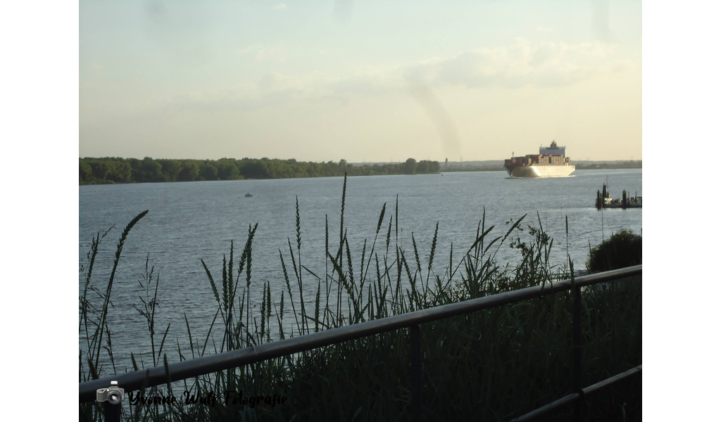 1048756_553457494692519_1421259845_o