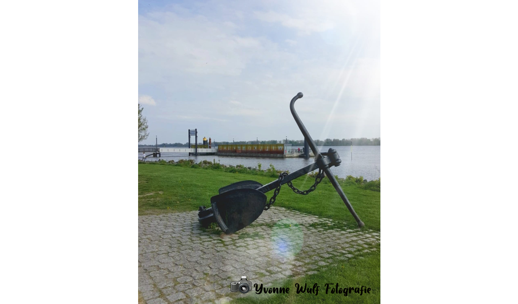 225145910_5963542090354566_2366693981597109887_n