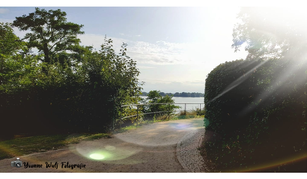 225176635_5963541037021338_7373484027933920579_n