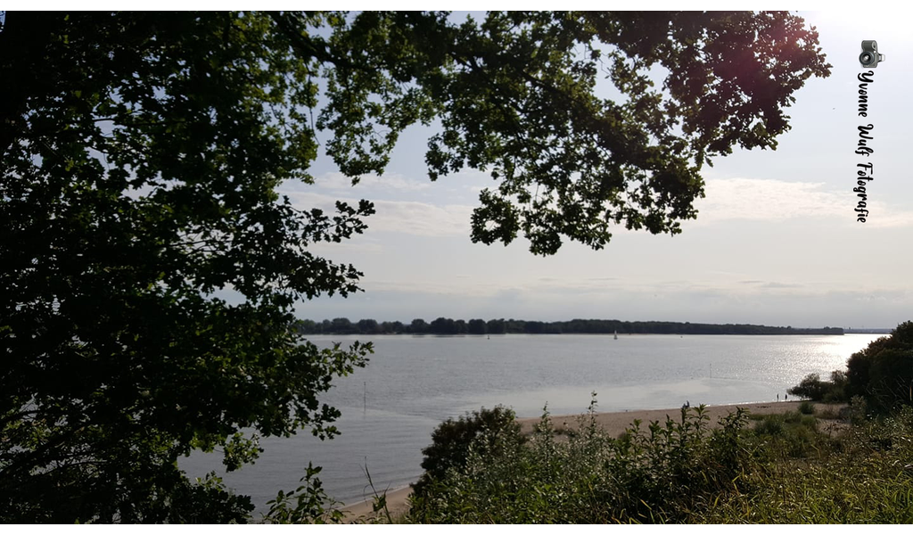 67877361_2923190487723090_9074342654573019136_n